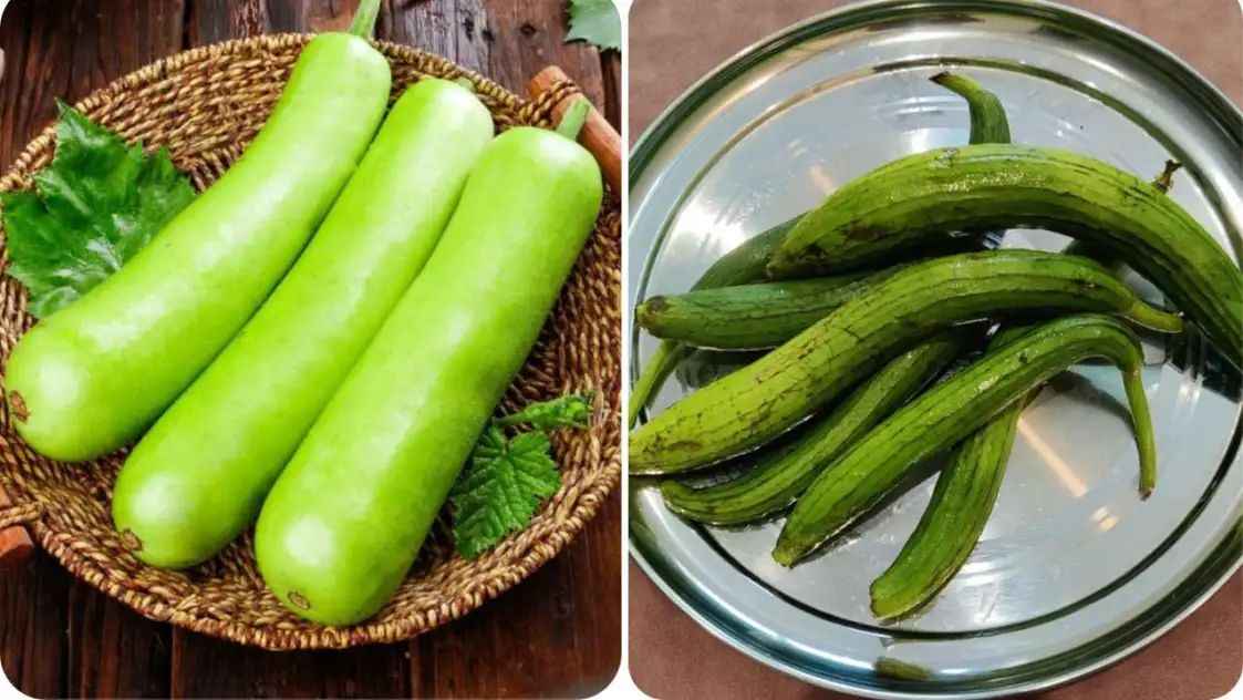 n6669856131749038614234230d7d388e902e943d064abb5bf4fb2b33e4e08724443e27d08e268ddbdc2dc6