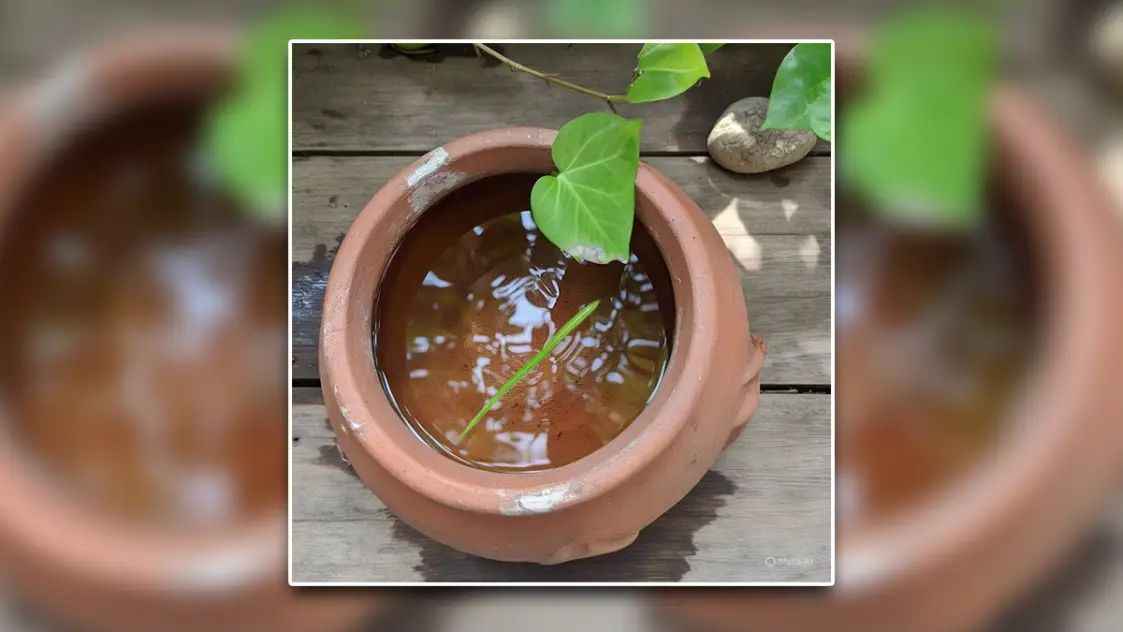 n667357267174920093780603c98a58fa1c17715e455b5c31f3c30218748f285f9ea0c9f2848afd4d40a5d7