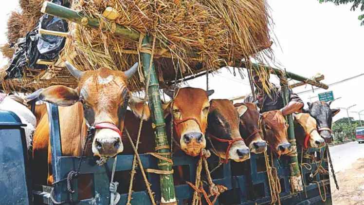 n6679663331749631719904968054a73246a6901dc4063788578fe5835c3d65e83b706eddd0af409ee4de3f