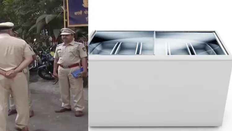 n6681111281749703921631072c917c31493df57fbd92b5774e08c01f0f0c73810f67cde2147241656bbd21